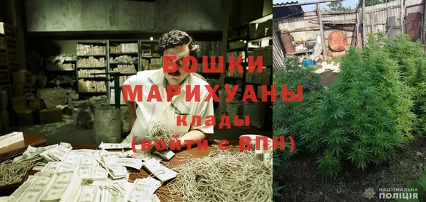ПСИЛОЦИБИНОВЫЕ ГРИБЫ Балабаново